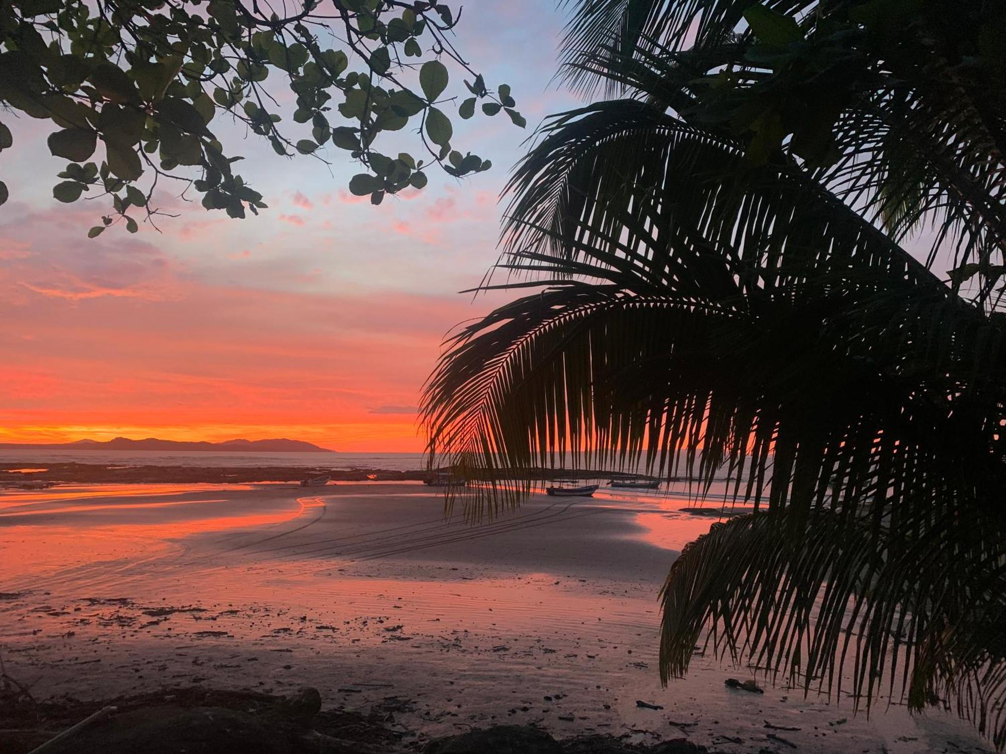 Ocekepala 호텔 Palmilla 외부 사진